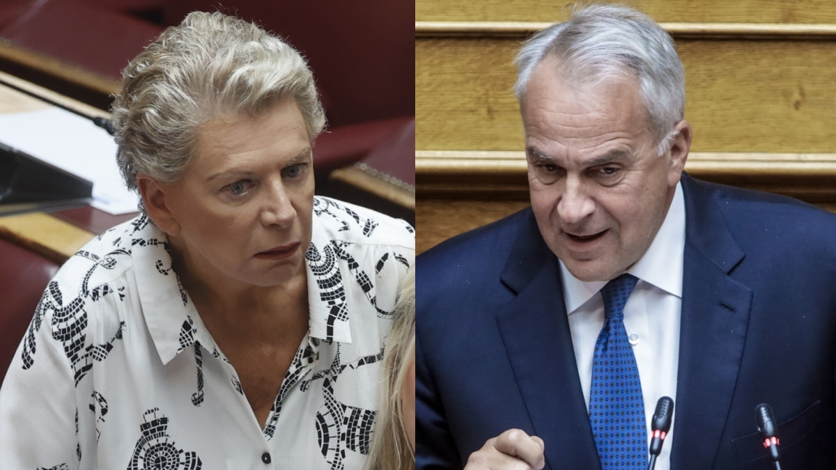 Έλενα Ακρίτα: «Δε θα ανεχτούμε πλέον έναν άκρως κακοποιητικό λόγο που στιγματίζει ανθρώπους» – Ζητά παραίτηση Βορίδη μετά τις δηλώσεις για τα ομόφυλα ζευγάρια