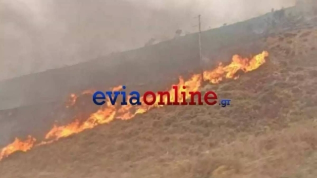 Εκτός ελέγχου η φωτιά στην Εύβοια: Εκκενώθηκαν δύο χωριά – Δεν μπορούν να προσεγγίσουν τα εναέρια (video-photos)