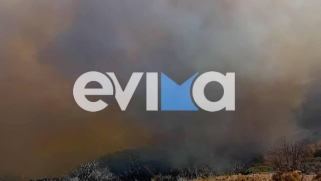 Μεγάλη φωτιά στην Εύβοια: Εκκενώνεται χωριό – Απειλούνται σπίτια (video)