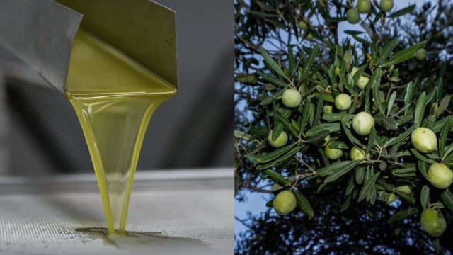 Σας κορόιδεψαν με το ελαιόλαδο; Το αλάνθαστο κόλπο για να καταλάβετε αν είναι νοθευμένο