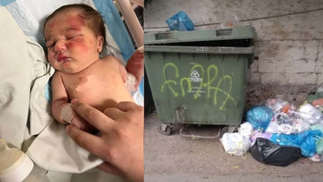 Μωρό μεταφέρθηκε στην ασφάλεια από αδέσποτο σκυλί αφού το εγκατέλειψαν στα σκουπίδια
