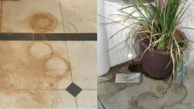 Τα μυστικά του μπαλκονιού: Το πανέξυπνο tip για να αφαιρέσετε τον λεκέ της γλάστρας από την βροχή