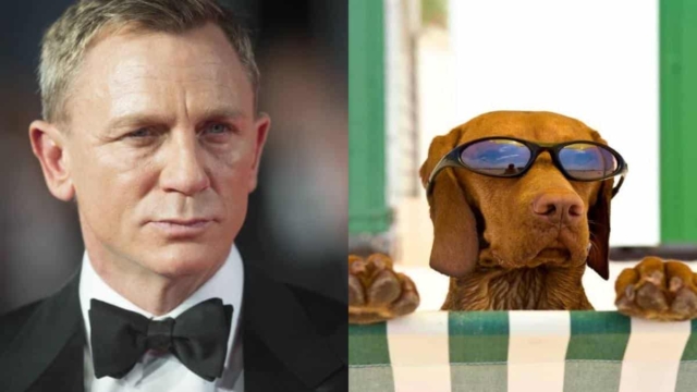 Πώς λέγεται ο σκύλος του James Bond… Το καμένο ανέκδοτο της ημέρας (1/11)