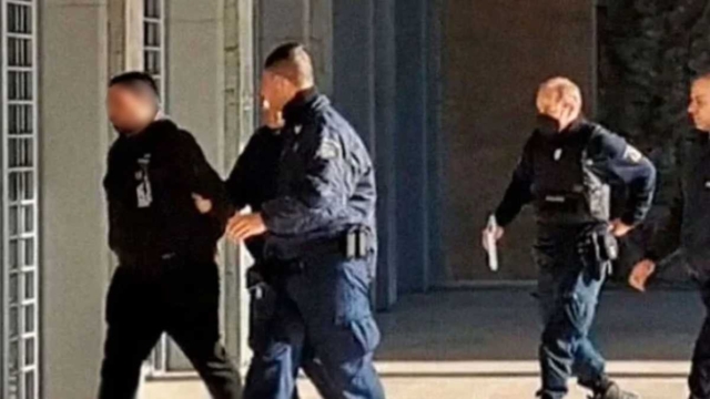 Θεσσαλονίκη: Στη φυλακή ο 37χρονος ιδιοκτήτης των σκύλων που κατασπάραξαν την 50χρονη στη Νεοχωρούδα