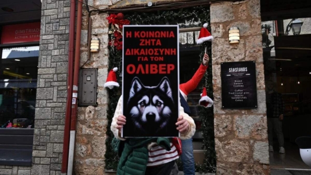 Αράχωβα: Αυτό είναι το πόρισμα για την κακοποίηση του Όλιβερ – Κατέθεσαν μήνυση τα φιλοζωικά σωματεία