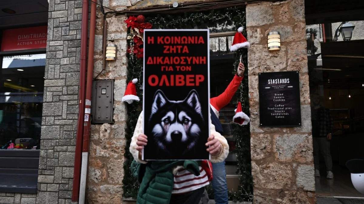 Αράχωβα: Αυτό είναι το πόρισμα για την κακοποίηση του Όλιβερ – Κατέθεσαν μήνυση τα φιλοζωικά σωματεία