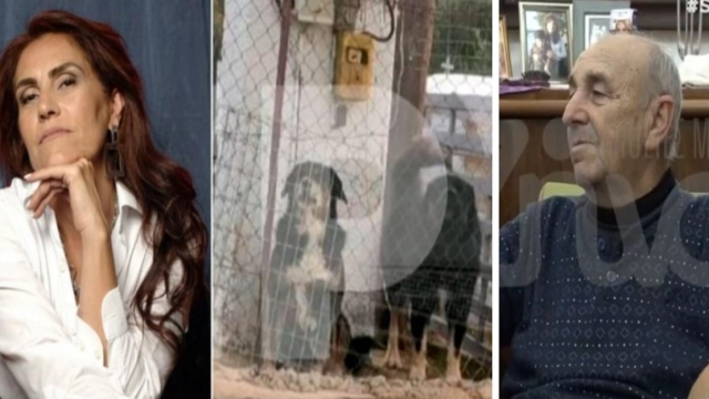 «Είχαν άγριες διαθέσεις, δεν μπορεί ένας 37χρονος να κάνει τέτοια λάθη» – Συγκλονίζει 70χρονος που δέχθηκε επίθεση από τα σκυλιά που κατασπάραξαν την 50χρονη στη Θεσσαλονίκη (Video)