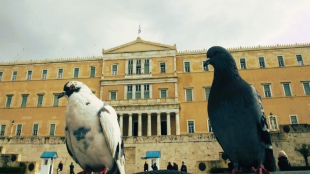 Είναι δυό περιστέρια και κάνουν έρωτα… Το ανέκδοτο της ημέρας (3/12)