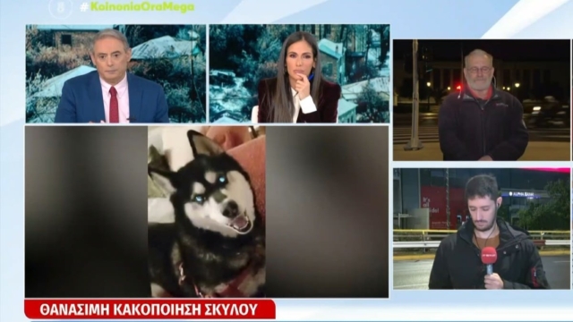 Απίστευτο ξέσπασμα της Ανθής Βούλγαρης on air: «Εγώ στην Αράχωβα δεν θα ξαναπατήσω το πόδι μου μέχρι να ανοίξουν τα στόματα…»