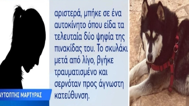 Αράχωβα: Συγγενής αντιδημάρχου ο “ύποπτος”; «Είδα τον Όλιβερ με έναν άνδρα σε μια αποθήκη! Άκουσα κλάμα, σαν να κακοποιείται. Είδα το σκυλάκι τραυματισμένο να σέρνεται» – Σοκάρει αυτόπτης μάρτυρας (Video)