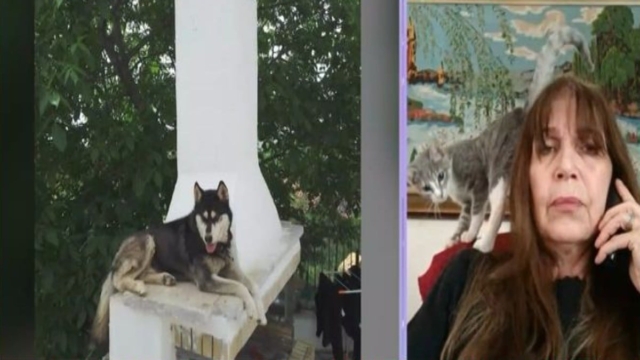 Αράχωβα – Έξαλλη η Πουλτίδου για τον Όλιβερ: «Έφερε σοβαρό τραύμα στην περιοχή του πρ@κτ@#, προκληθέν από αιχμηρό όργανο! Προκλήθηκε αιμορραγία…» – ΦΩΤΟΓΡΑΦΙΑ-ΣΟΚ του πορίσματος