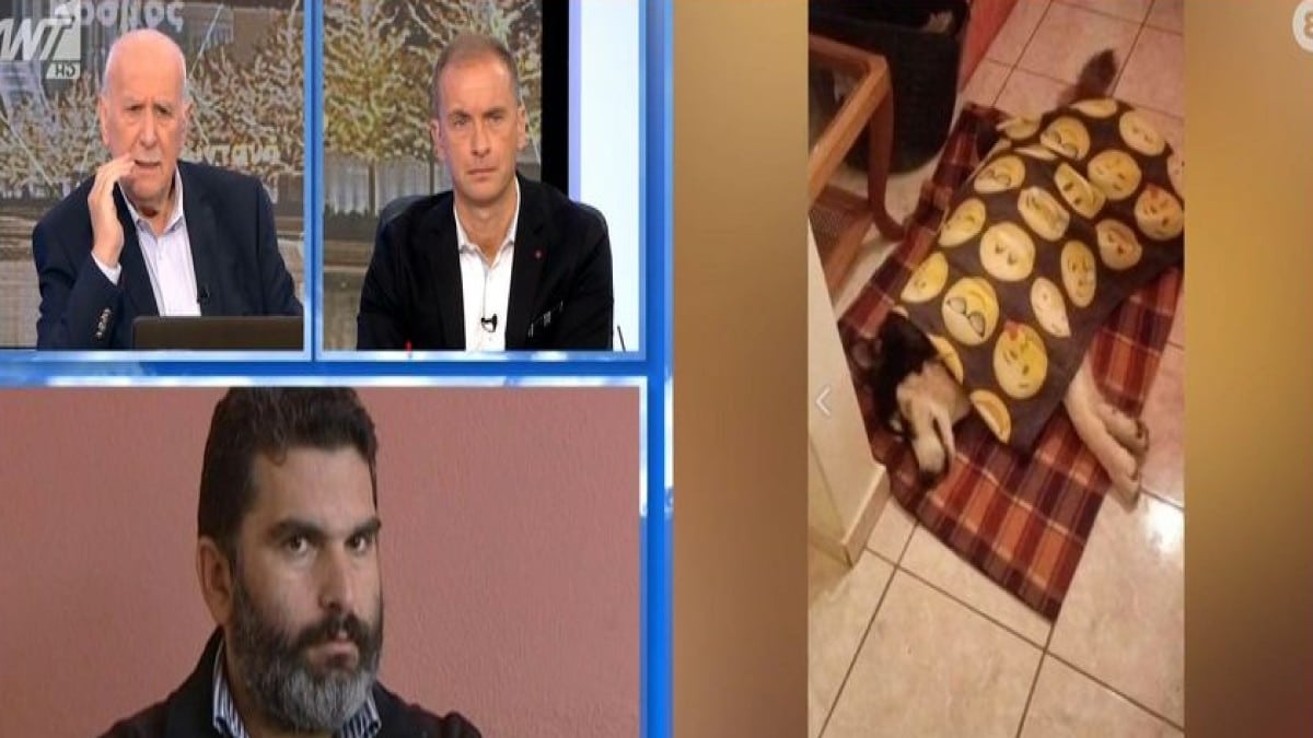 «Yπήρχε η σκέψη να δοθούν λεφτά για να μιλήσει όποιος ξέρει, αλλά είναι δυνατόν να…» – Ξέσπασε ο Δήμαρχος Αράχωβας για την κακοποίηση του χάσκι «Όλιβερ» (Video)