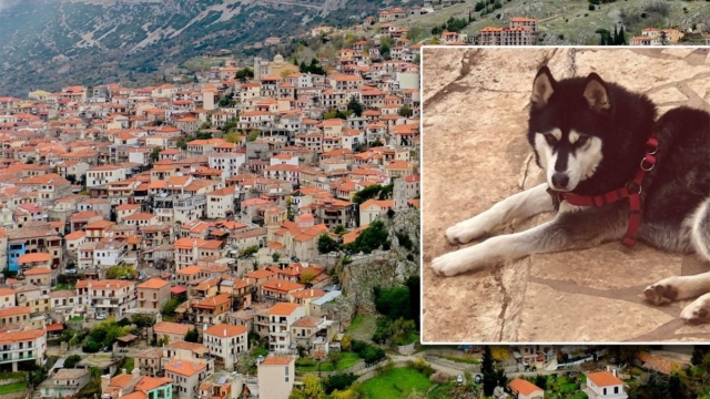 «Δε μου περισσεύουν, αλλά τα διαθέτω για σκοπό που θεωρώ σωστό» – Δίνει 10.000 ευρώ σε όποιον γνωρίζει λεπτομέρειες για την κτηνωδία στην Αράχωβα