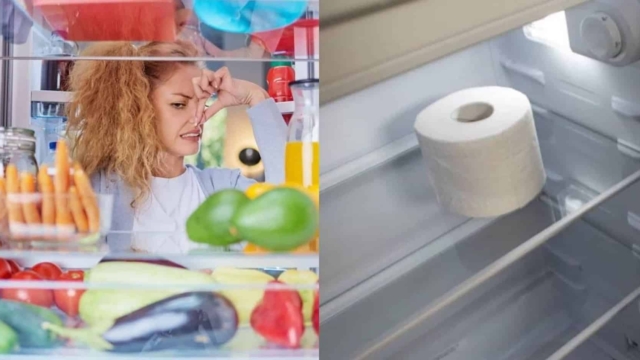 Τι θα συμβεί αν βάλετε ένα ρολό χαρτί υγείας μέσα στο ψυγείο