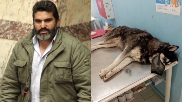 «Με στοχοποιούν άδικα για τον Όλιβερ»: Έσπασε τη σιωπή του ο δήμαρχος Αράχωβας