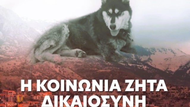 Ανατριχιάζει η κτηνίατρος που παρέλαβε τον Όλιβερ: «Δεν έχω ξαναδεί κάτι τέτοιο εδώ και τριάντα χρόνια που ασκώ αυτό το επάγγελμα»