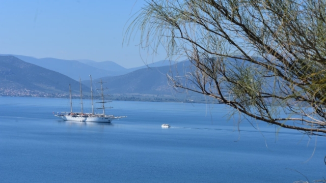 Καιρός σήμερα 19/12: Παράταση ηλιοφάνειας και «ζεστό» κλίμα – Υψηλές θερμοκρασίες όλη την εβδομάδα! (video)