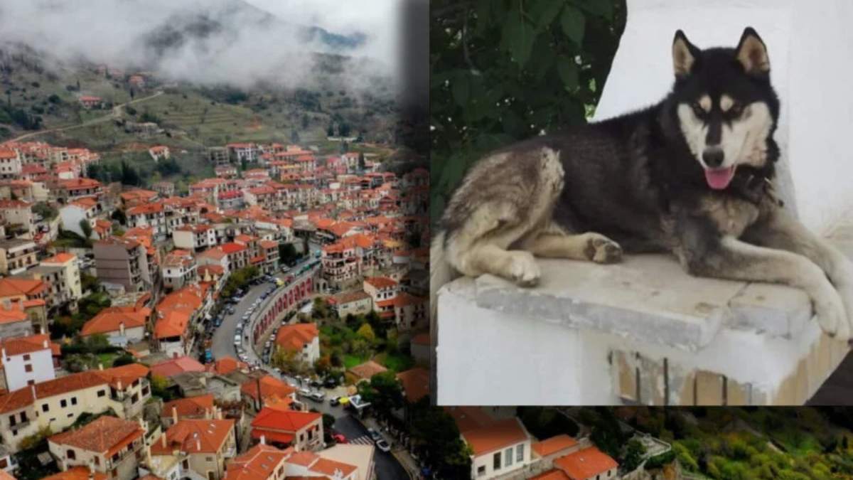 Κτηνωδία στην Αράχωβα: «Έχω να καταθέσω σημαντικά πράγματα και δεν με δέχονται στο ΑΤ» – Ταράζει τα «νερά» νέα καταγγελία μάρτυρα