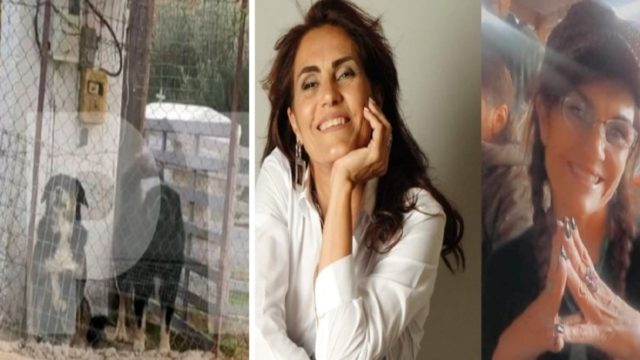Αυτά είναι τα σκυλιά “δολοφόνοι” που κατασπάραξαν την 50χρονη στη Θεσσαλονίκη – Δέχτηκε πάνω από 50 δαγκωματιές στο κορμί της (Video)