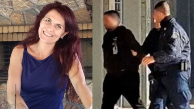 Θεσσαλονίκη: Τρόμαξαν από το αλυσοπρίονο και επιτέθηκαν στην Ελισάβετ, είπε ο ιδιοκτήτης των σκυλιών που κατασπάραξαν την 50χρονη
