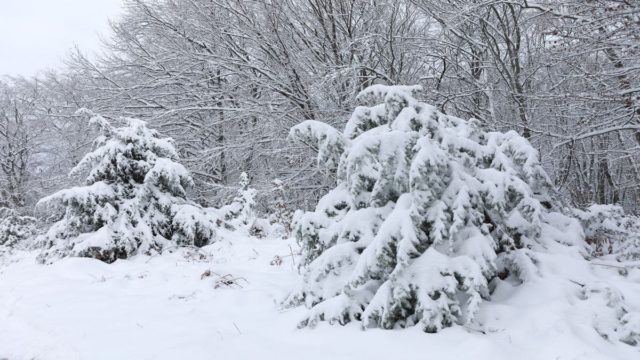 Καιρός σήμερα 31/1: Χιόνια, καταιγίδες και χαμηλές θερμοκρασίες – Οι περιοχές που θα επηρεαστούν (video)