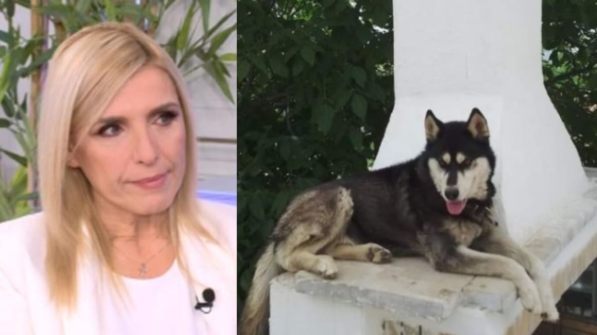 «Σπάει» τη σιωπή της η Ρένα Κουβελιώτη για την κτηνωδία στην Αράχωβα: «Την ίδια μέρα που κατέθεσα, έριξαν φόλες στο πάρκο που πηγαίνω με τον σκύλο μου» (video)