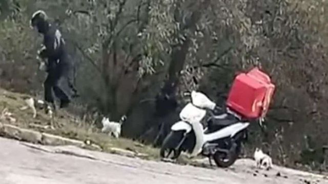 Διανομέας κάθε πρωί και βράδυ περνάει από το σημείο και ταΐζει αδέσποτα γατάκια