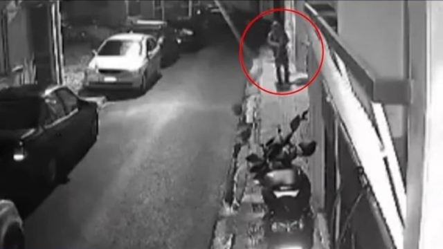 Στην φυλακή ο 33χρονος που βασάνισε και σκότωσε γάτες στον Βοτανικό – Του βεβαιώθηκε πρόστιμο 20.000 ευρώ (video)