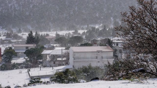 Η Φωτογραφία της Ημέρας: Ντυμένα στα «λευκά» τα Βίλια