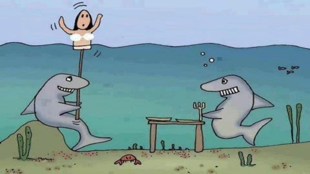 Η ξανθιά, ο Ειρηνικός και ο καρχαρίας… Το ανέκδοτο της ημέρας (12/2)