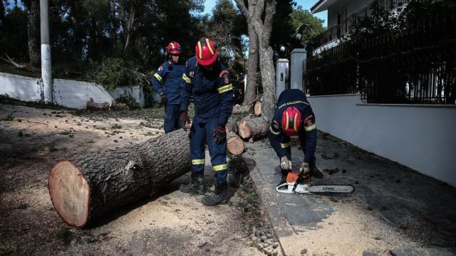 Ισχυρή κακοκαιρία στη Θεσσαλονίκη – Χωρίς ρεύμα περιοχές από πτώση δέντρων – Κλειστά σχολεία