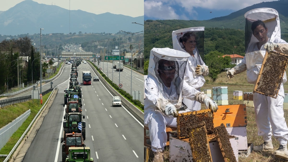 Έφυγαν οι αγρότες, έρχονται οι μελισσοκόμοι: Με κυψέλες θα γεμίσει σήμερα (22/2) το Σύνταγμα! (video)