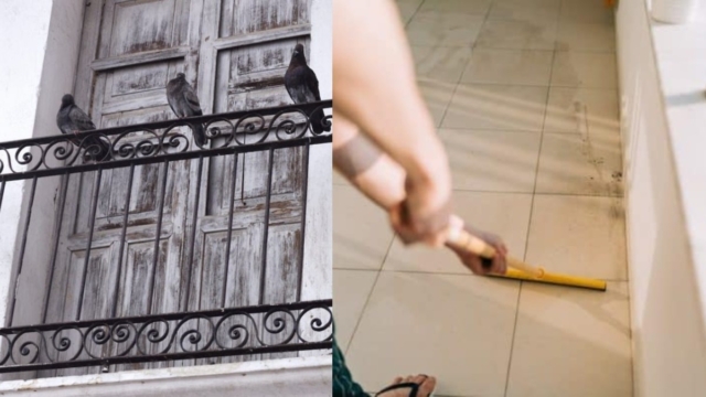 Κουτσουλιές στο μπαλκόνι: Εξαφανίστε τις σε λιγότερο από 2′ με  το αλάνθαστο καθαριστικό κόλπο