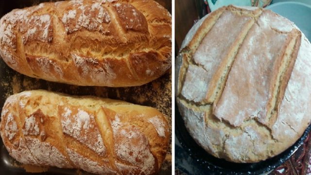 Όπως παλιά: Πως φτιάχνουμε ζυμωτό ψωμί και προζύμι – Με αυτόν τον τρόπο διατηρούνται