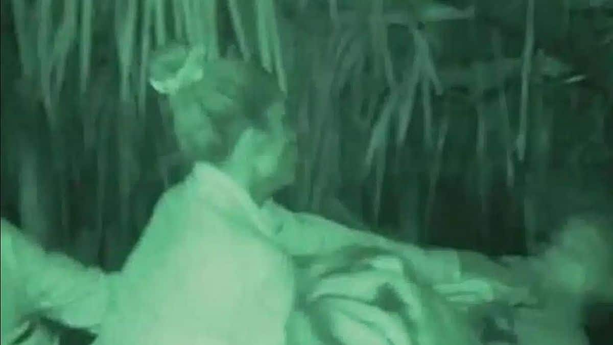 Survivor 2024: Δεν ξανάγινε! Άγριος ξυλοδαρμός παίκτη και αποβολή από τον Ατζούν!