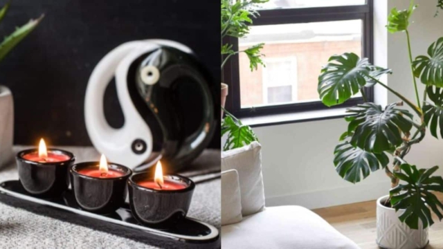 7 Φυτά Εσωτερικού Χώρου για Καλό Feng Shui, Τύχη & Θετική Ενέργεια