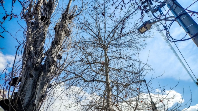 Καιρός σήμερα 21/03: Αίθριος με αραιές νεφώσεις – Βροχές μόνο στα βορειοανατολικά