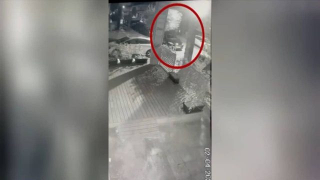 Εξοργιστικό βίντεο από τη Νέα Ιωνία: 69χρονη πέταξε στα σκουπίδια 4 κουταβάκια – Της επιβλήθηκε πρόστιμο 120.000 ευρώ!