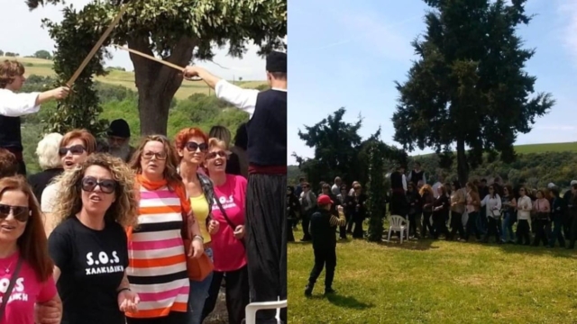 Μεγάλη Τρίτη στη Χαλκιδική: Ζήστε το ξεχωριστό έθιμο «Του μαύρου νιου τ’ αλώνι»