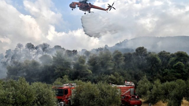 Φωτιά στην Βραυρώνα: Μάχη για κατάσβεση με επίγεια και εναέρια μέσα
