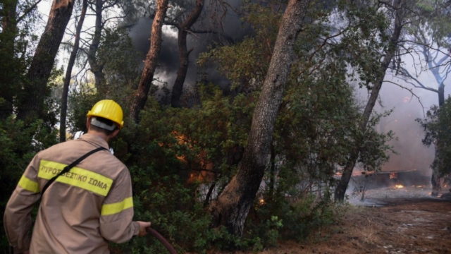 Συναγερμός στην Πυροσβεστική: Φωτιά τώρα στην Περιφερειακή Αιγάλεω