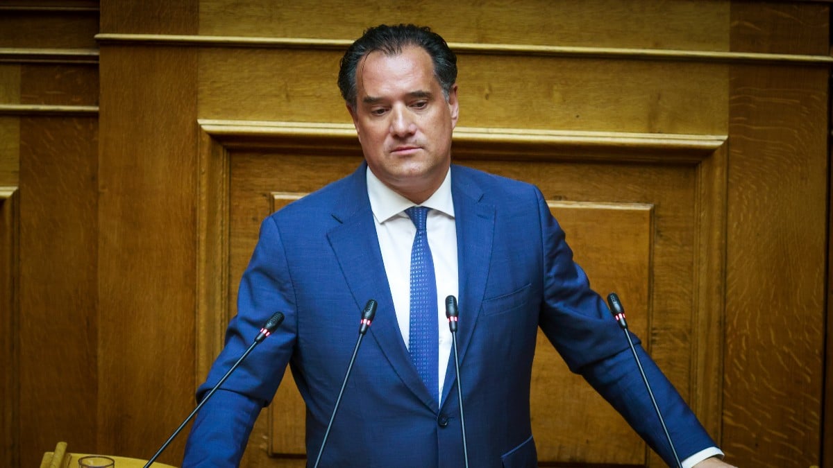 Άδωνις Γεωργιάδης για δολοφονία 28χρονης στους Αγίους Αναργύρους: «Πολιτικές ευθύνες δεν υπάρχουν…»