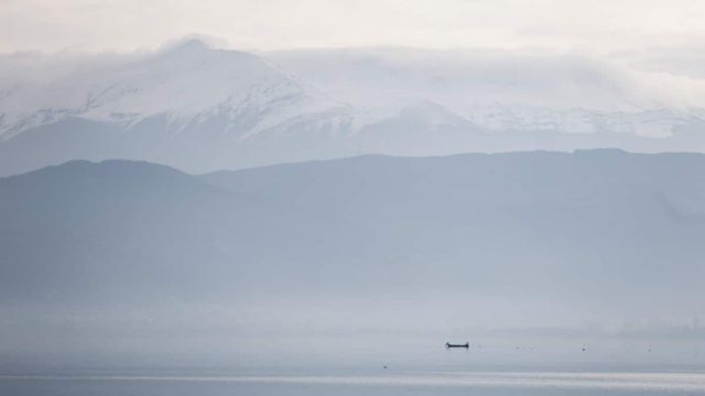 Σοκ στα Ιωάννινα: Σκυλιά επιτέθηκαν σε ηλικιωμένο – Έπεσε μέσα στη λίμνη