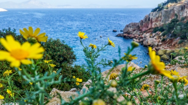 Καιρός σήμερα 28/4: Αρχίζει να… καλοκαιριάζει πριν από τη Μεγάλη Εβδομάδα – Άνοδος της θερμοκρασίας και αίθριος ουρανός