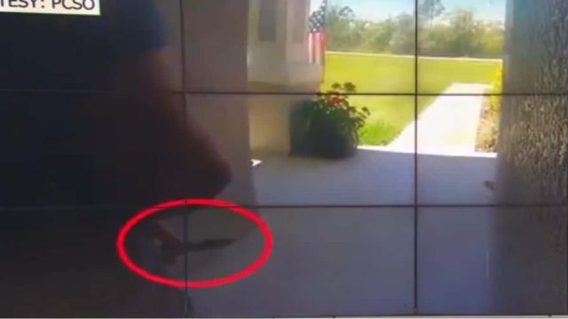 Μαχαίρωσε τη μητέρα του 70 φορές – Η στιγμή που φοιτητής ιατρικής χτυπά την πόρτα και κρύβει μαχαίρι πίσω από την πλάτη του