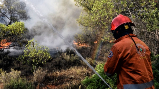 Μονεμβασιά: Φωτιά στον Άγιο Στέφανο – Ισχυροί άνεμοι πνέουν στο σημείο