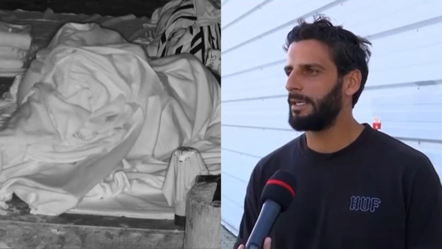 Survivor 2024: Σαφής για τη σχέση του με τη Σταυρούλα Χρυσαειδή ο Γιάννης Περπατάρης – «Το γεγονός ότι κοιμηθήκαμε μαζί…»