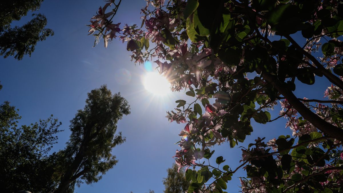 Καιρός 31/5: Ανεβαίνει ο υδράργυρος σήμερα – Σε ποιες περιοχές θα ξεπεράσει τους 32 βαθμούς Κελσίου
