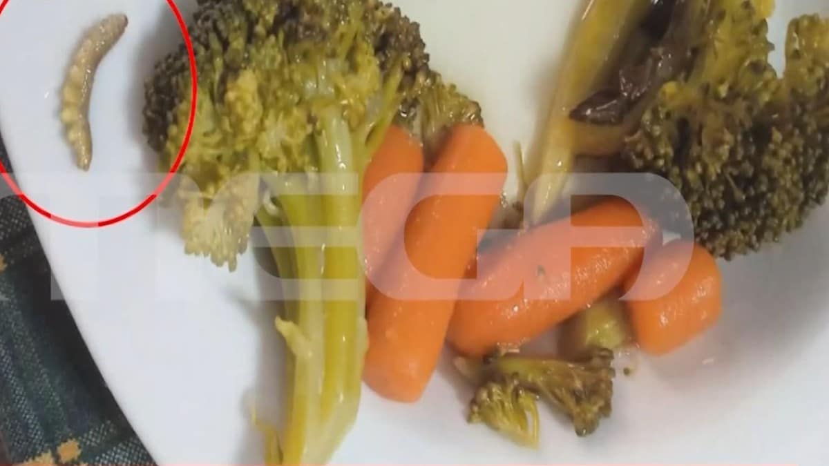Σοκαριστικά ντοκουμέντα στη Λαμία: Καταγγελίες για σκουλήκια, τρίχες και πούπουλα σε μερίδες που δίνονταν στους μαθητές (video)