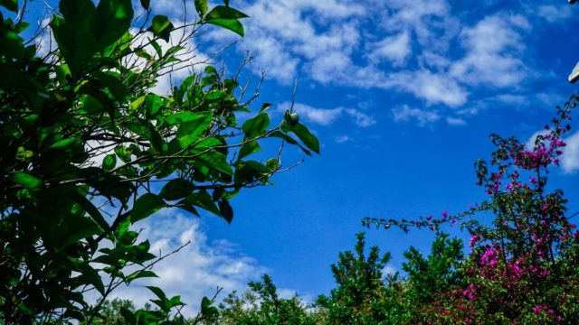 Καιρός σήμερα (23/5): Αλλού αναμένουμε ζέστη και αλλού καταιγίδες – Σε ποιες περιοχές θα βρέξει